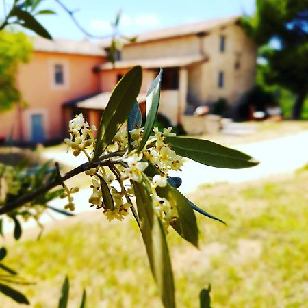 Tenuta San Felice Giano dellʼUmbria Exterior foto