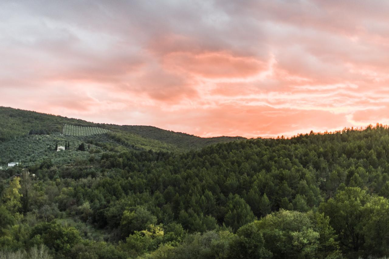 Tenuta San Felice Giano dellʼUmbria Exterior foto